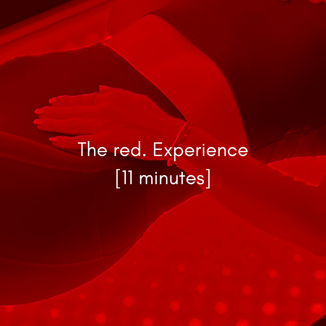 [CASE STUDY BOOKING LINK] The red. Experience (11 minutes)